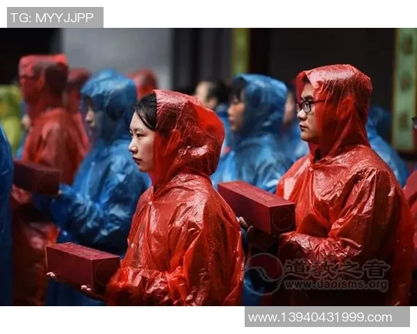 上海排球队在欧锦赛的拼搏历程与荣耀时刻全景回顾